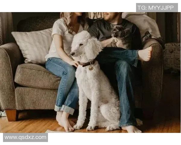 热爱足球与狗狗的明星球员们的感人故事与生活点滴 热爱足球与狗狗的明星球员们的感人故事与生活点滴