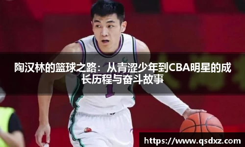 陶汉林的篮球之路：从青涩少年到CBA明星的成长历程与奋斗故事